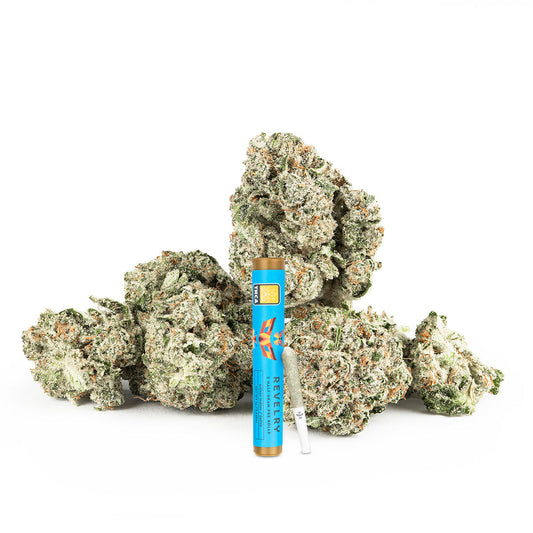 Revelry Blue Dream THCA Pre Rolls 2 Pack